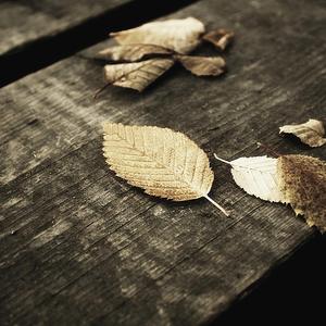 情侣把冰块放在女方的屁股上变态文
